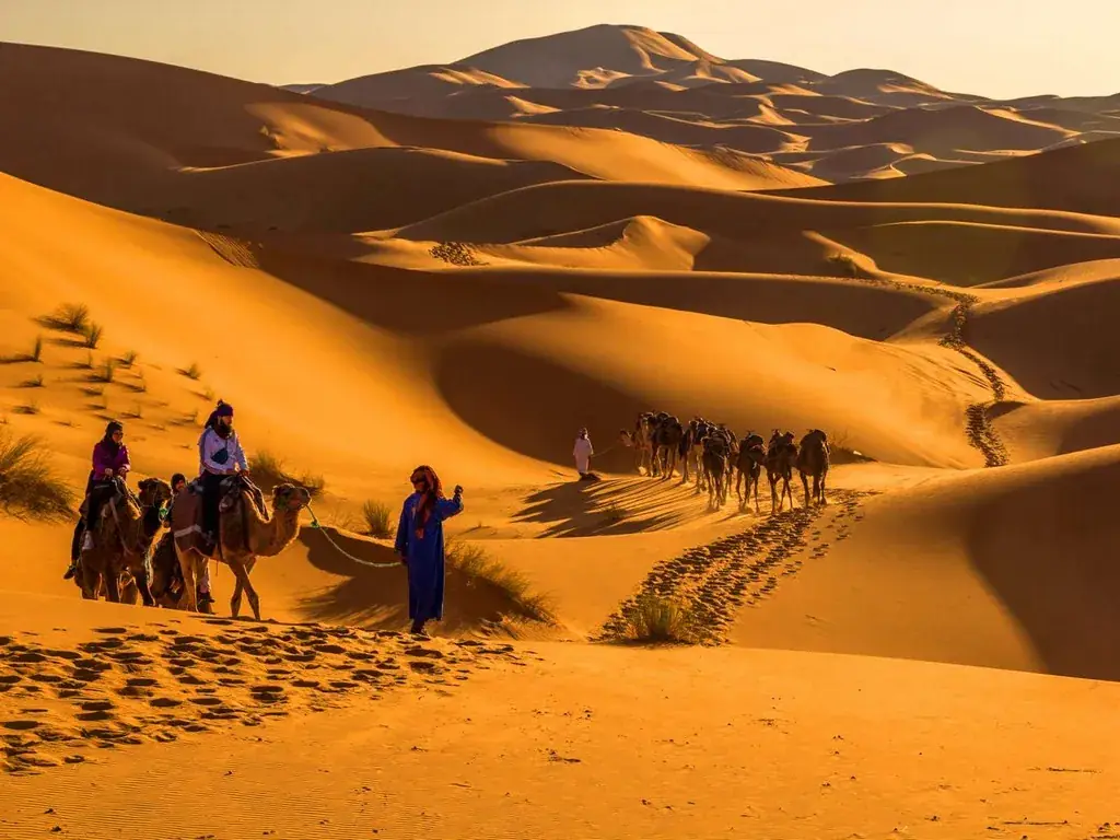 Camel caravan crossing the dunes near Merzouga at golden hour
