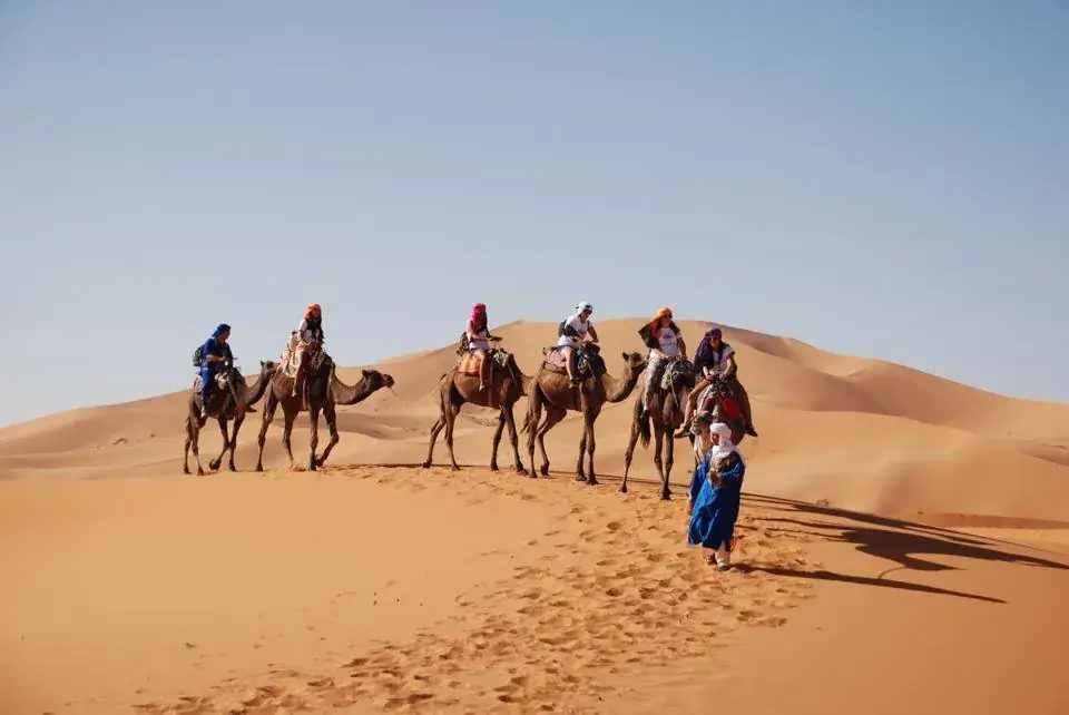 Line of camels walking along a dune ridge at sunset