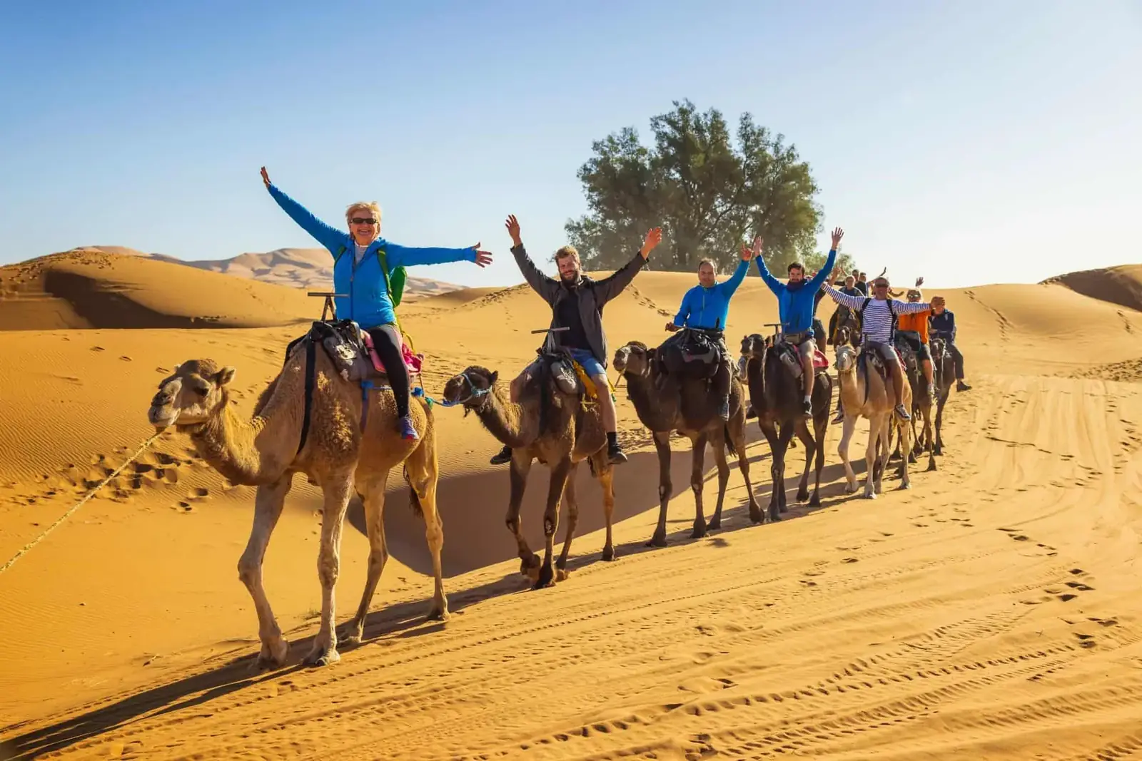 Guests riding camels across the Erg Chebbi dunes at sunset near Merzouga