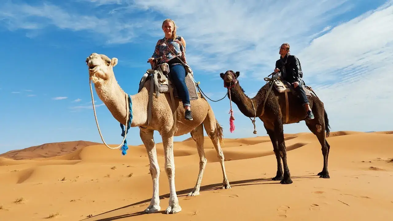 Guests smiling on camelback in Erg Chebbi