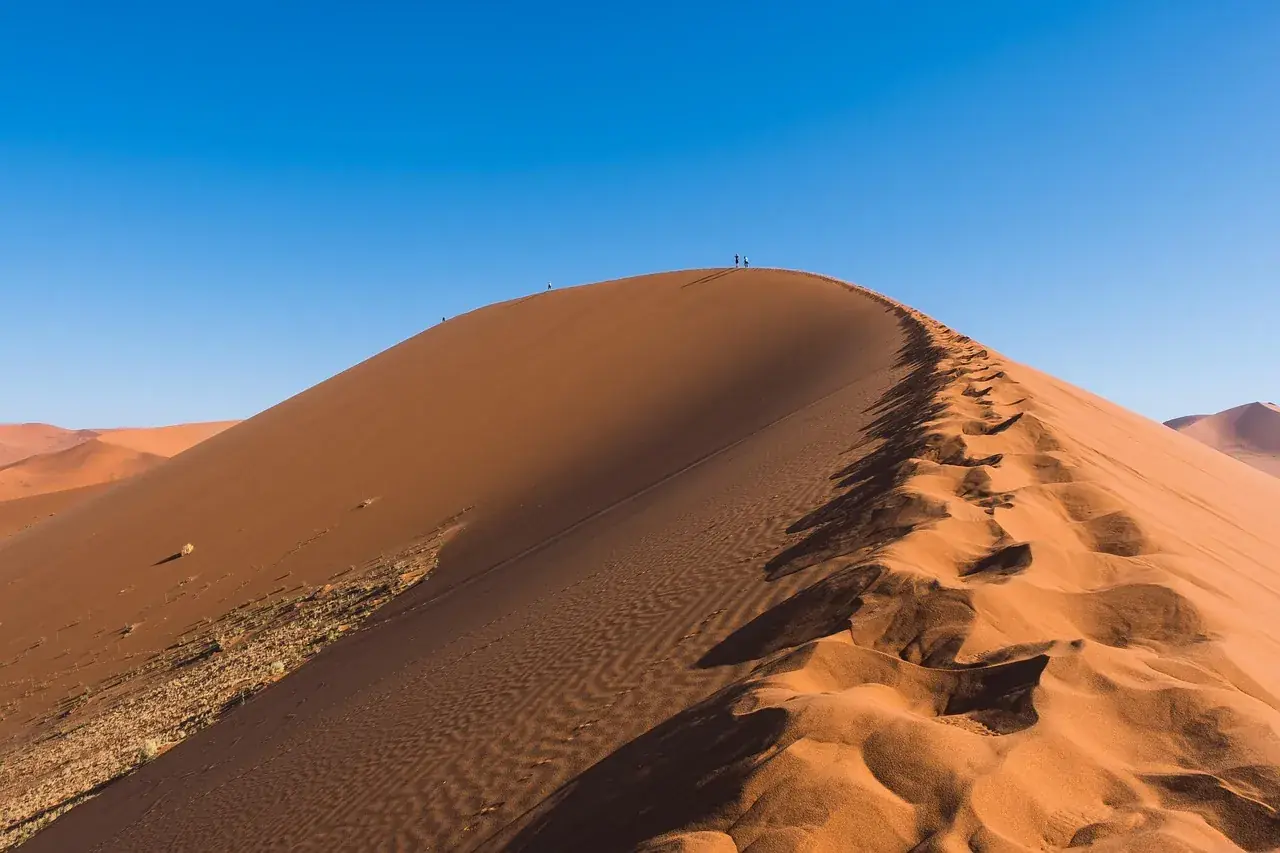 Footprints along a sunlit dune ridge