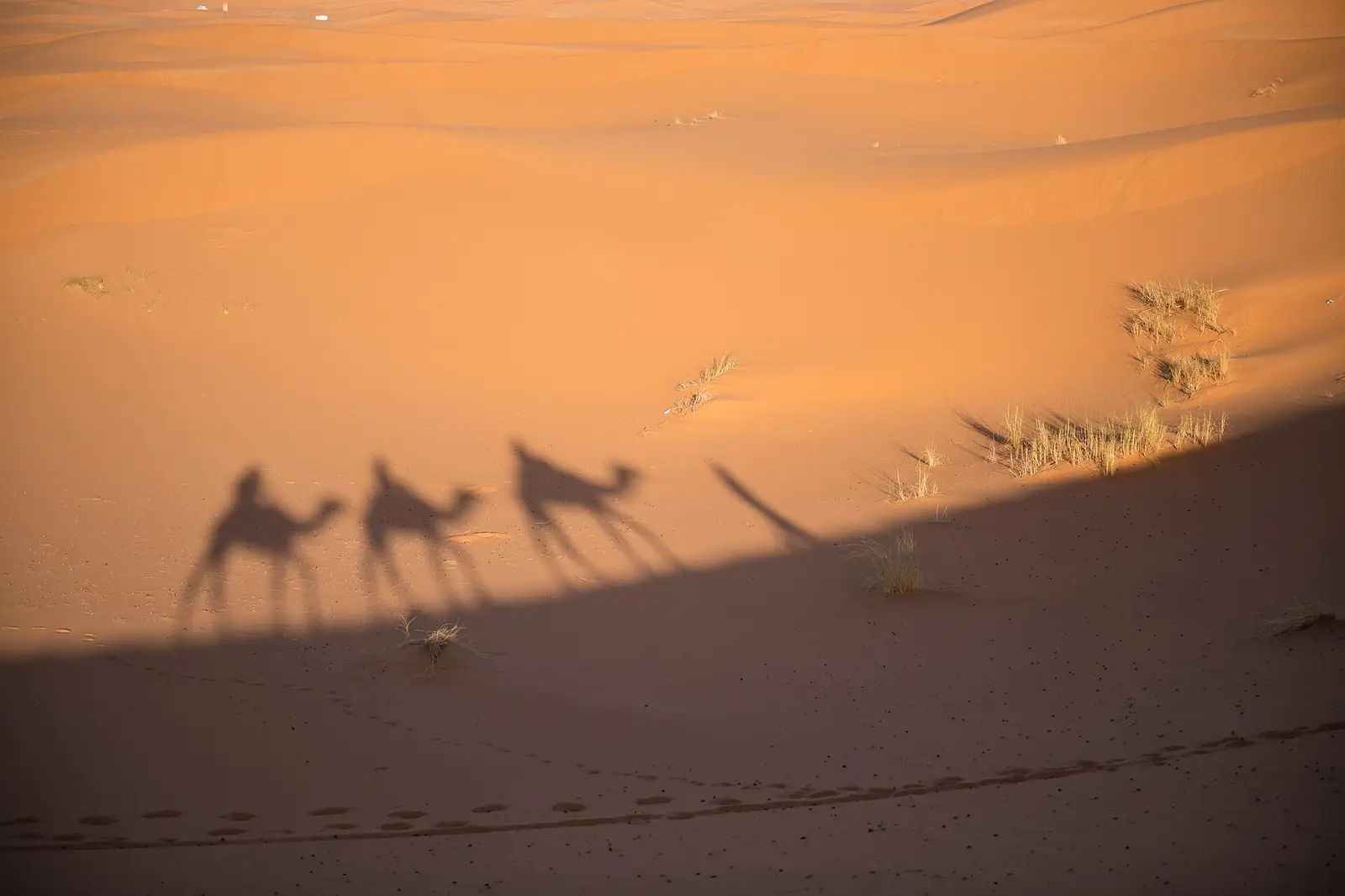 Caravana de camellos guiada por un guía a través de las dunas de Erg Chebbi