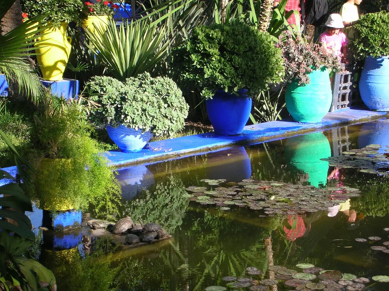 Muros de un azul vibrante y cactus en el Jardin Majorelle