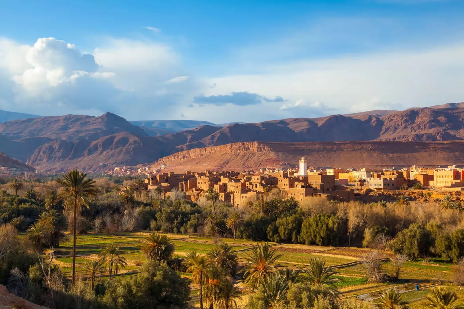 Palm-lined Moroccan valley with earthen buildings beneath mountains