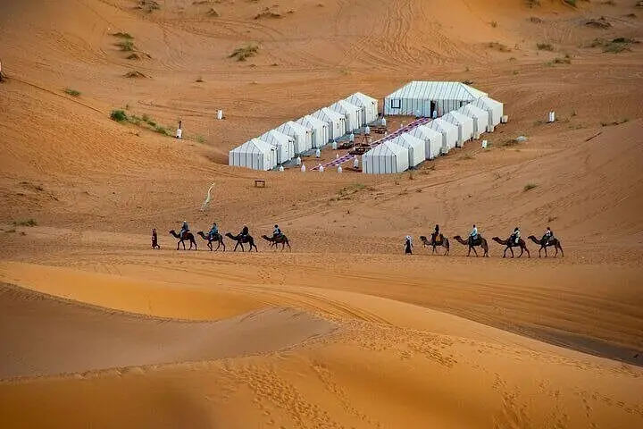 A camel caravan walking past a desert camp at the foot of the Merzouga dunes
