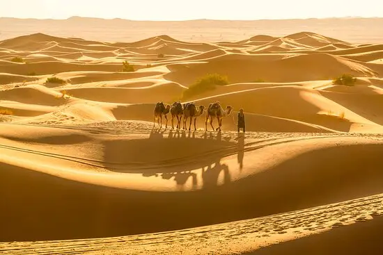 Caravana de dromedarios cruzando las dunas doradas del Erg Chebbi, Merzouga, con la luz del atardecer