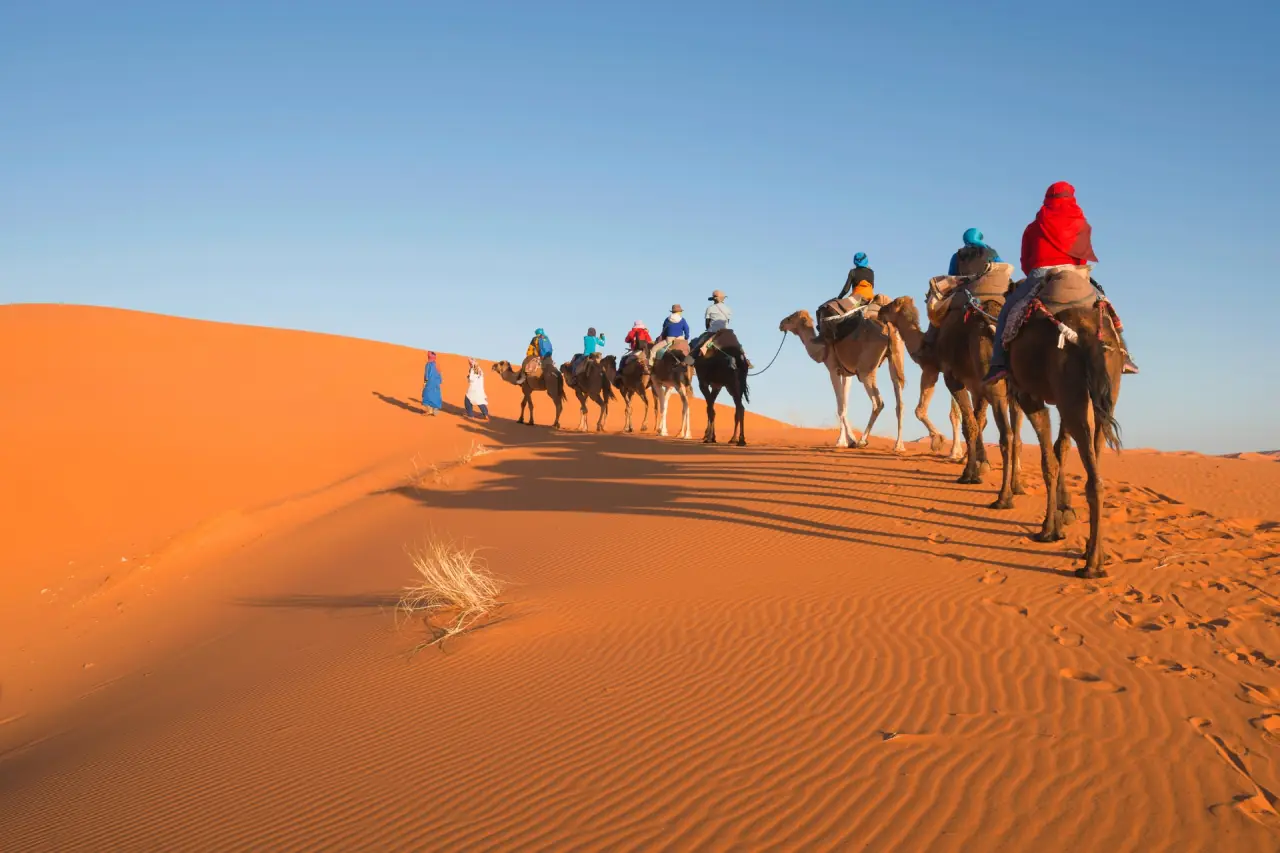 Camel trek climbing an orange dune under a blue sky