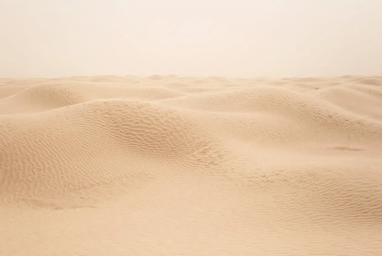 Close view of warm, fine Sahara sand