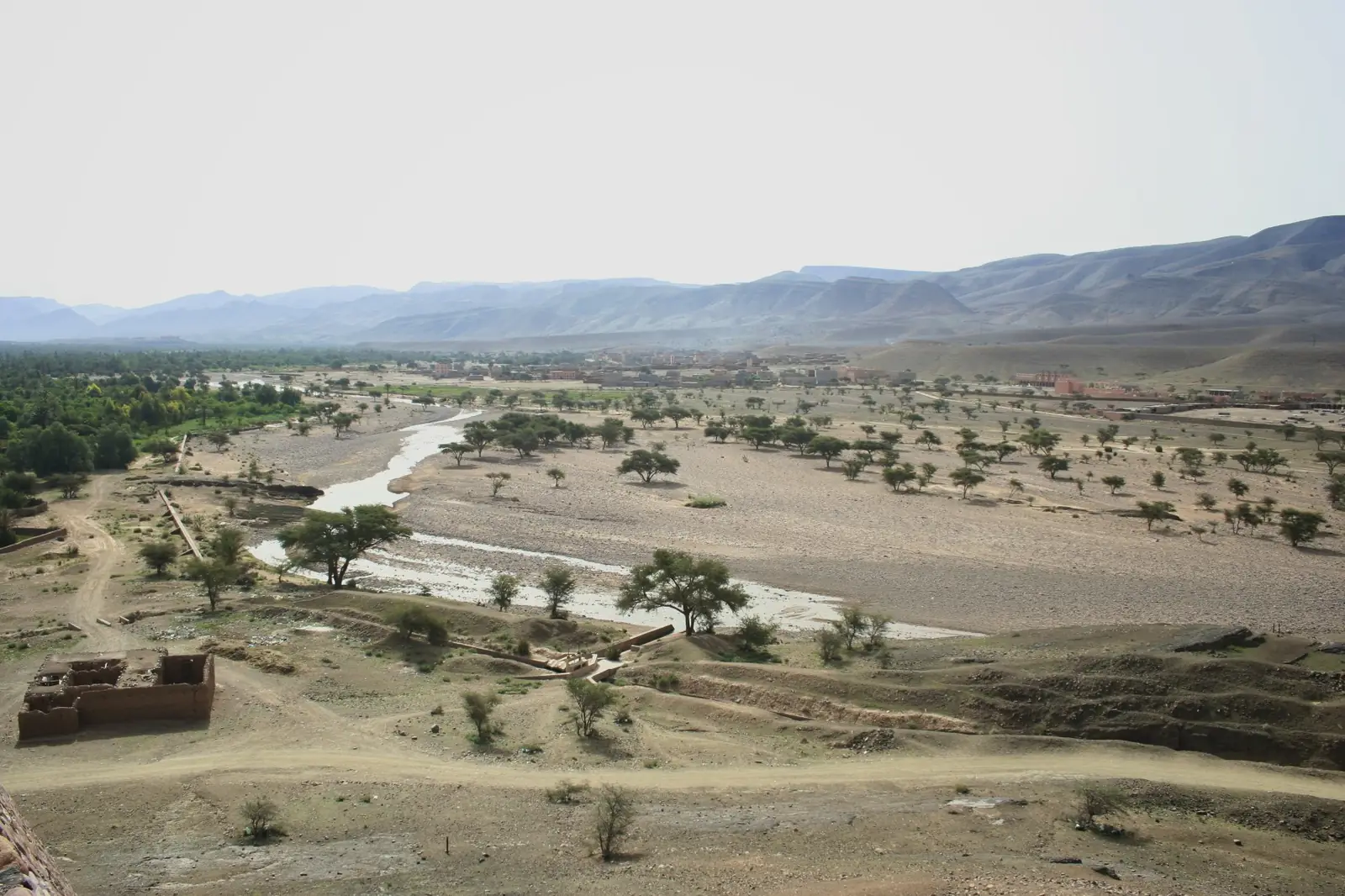 Palmeraies et cultures verdoyantes le long de l'oued Draâ près de Zagora