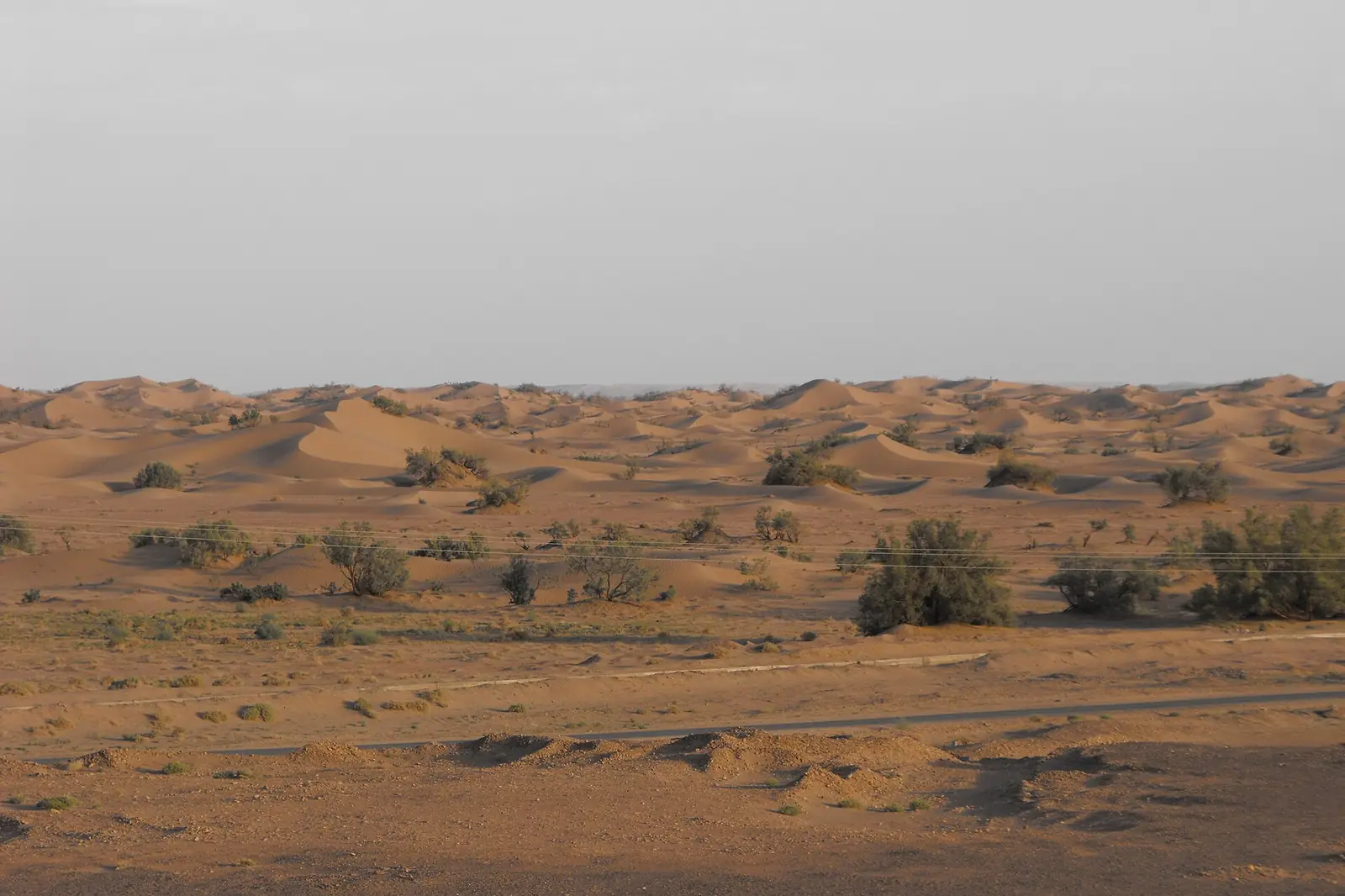 Dunes de sable basses et arbustes désertiques près de M'Hamid, dans le sud du Maroc