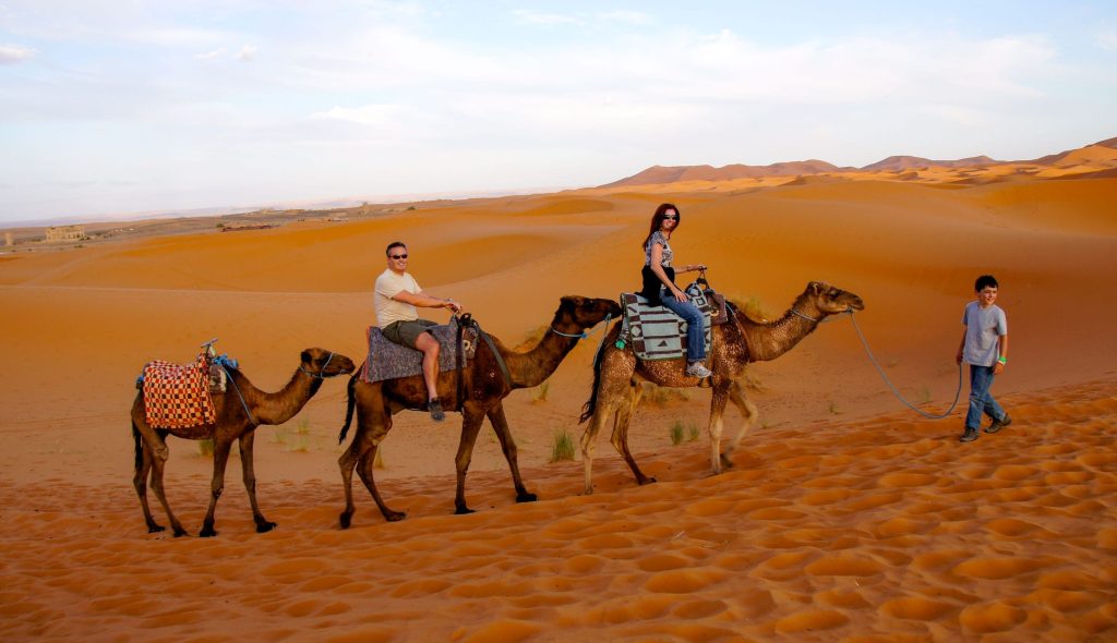 A caravan of camel riding in Merzouga, Morocco